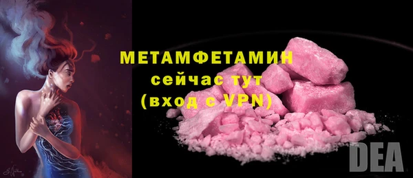 индика Волосово