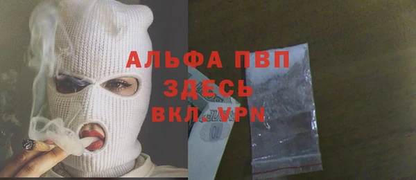 индика Волосово