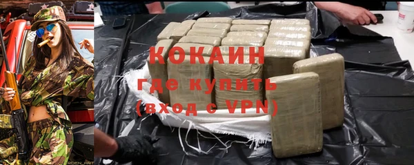 индика Волосово