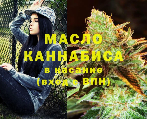 индика Волосово