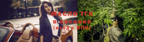 индика Волосово