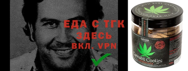 индика Волосово