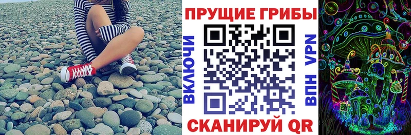 Псилоцибиновые грибы прущие грибы  Купить  Кукмор 