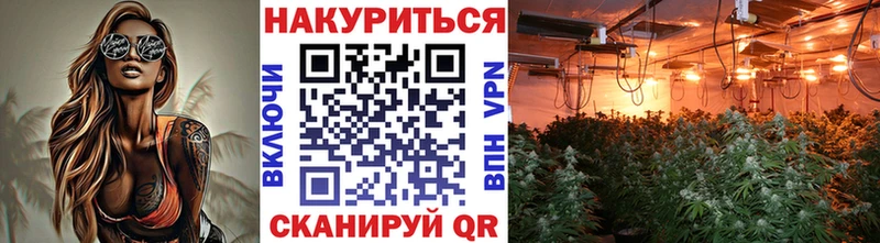 Купить где  Кукмор  МАРИХУАНА SATIVA & INDICA 